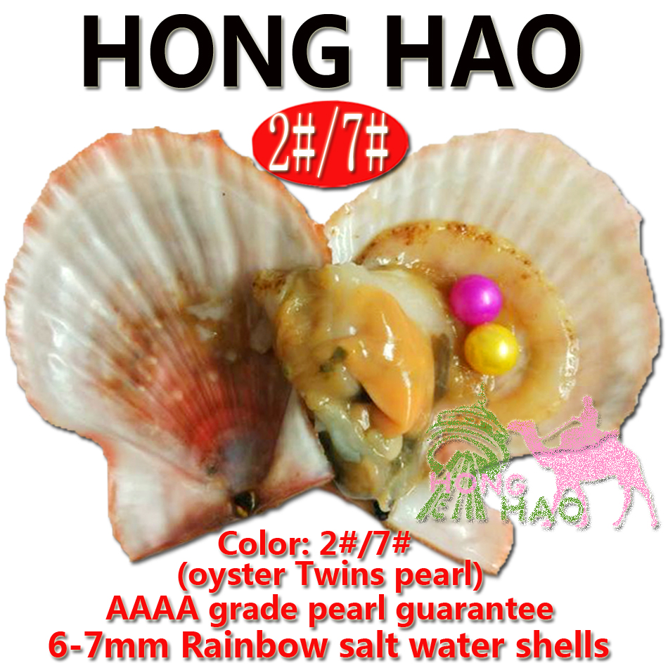 Best choice at a party, 2pcs 6-7mm akoya twins pearls oysters in random mixed two different colors, packed individually
Best choice at a party, 2pcs 6-7mm akoya twins pearls oysters in random mixed two different colors, packed individually