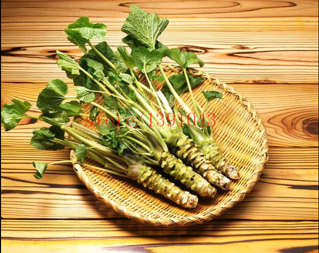 200 pcs Wasabi Seeds, Japanese Horseradish Seed Vegetable Seeds Bonsai Plant DIY Home Garden Plants
200 pcs Wasabi Seeds, Japanese Horseradish Seed Vegetable Seeds Bonsai Plant DIY Home Garden Plants
