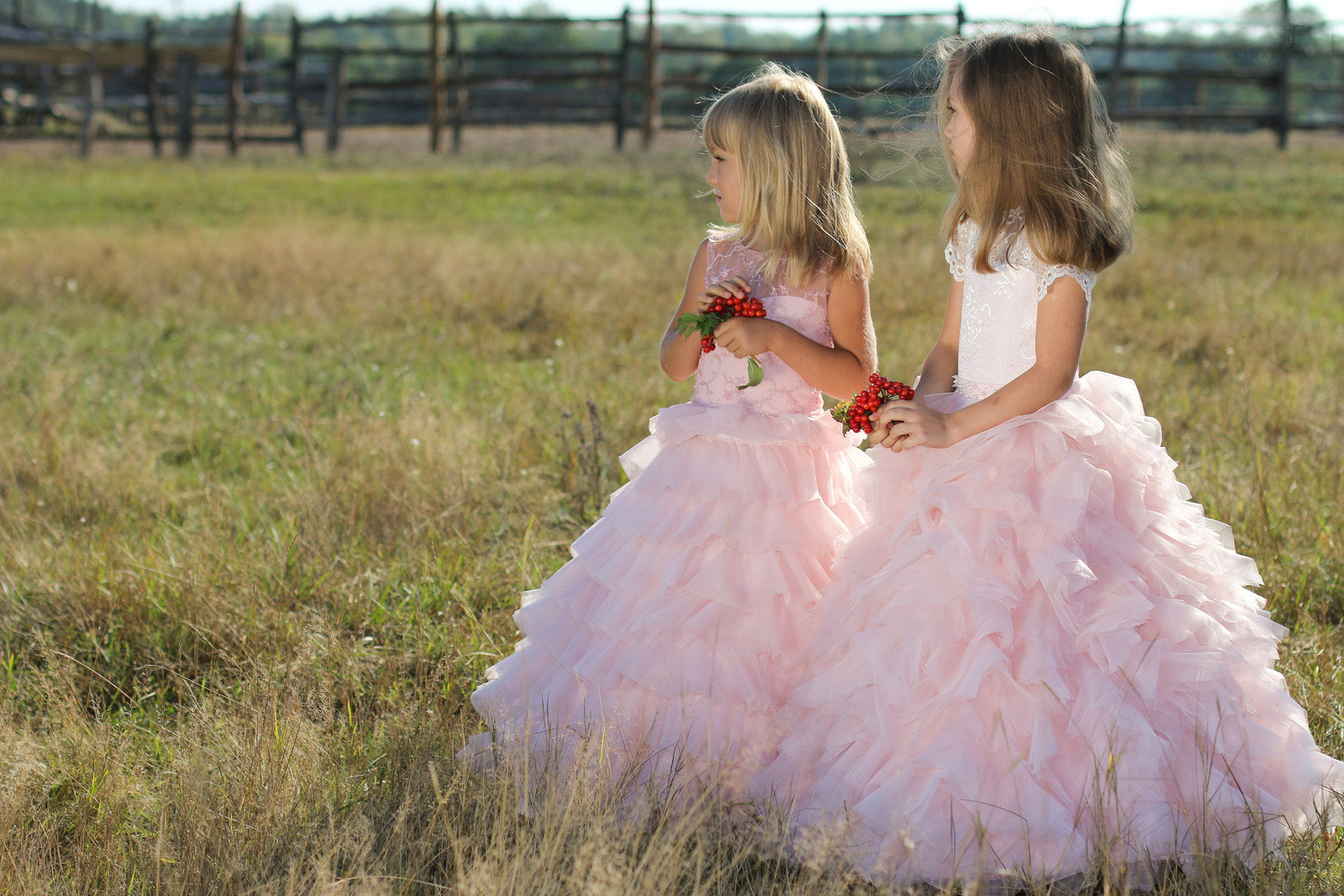 Blush Pink Lace Tulle Ball Gown Flower Girl Dresses For Wedding Birthday Pageant 2017 Short Sleeve Cut Out Back Lace Up Ruffle EN7134