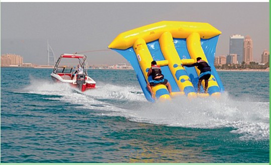 2020 Pvc Tarpaulin … - image