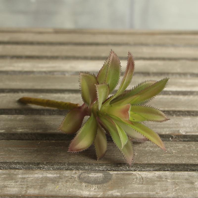 Colorful Plants Succulent Grass Artificial Plant Landscape Fake Flower Arrangement Home Decor Festive Party Supplies Wholesale