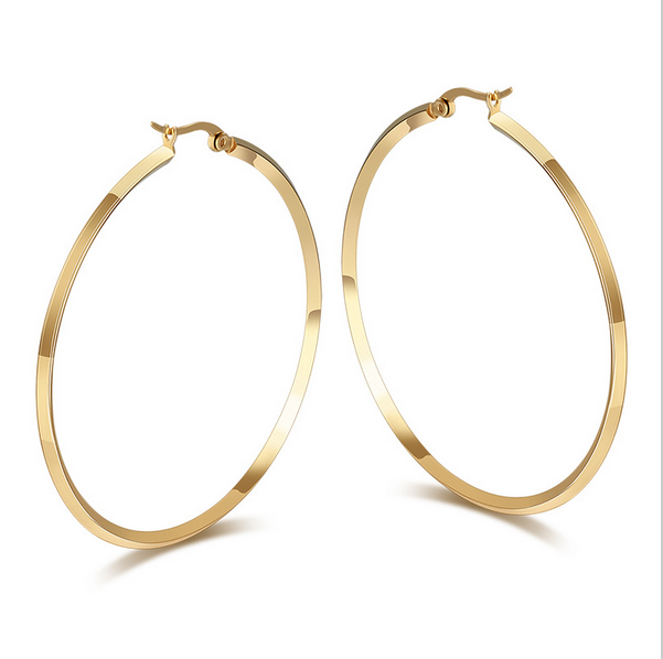 Fashion Women Big Earrings Hoop Circle Gold Color Earrings For Women Stainless Steel Female Earrings Party Jewelry EH-091
Fashion Women Big Earrings Hoop Circle Gold Color Earrings For Women Stainless Steel Female Earrings Party Jewelry EH-091