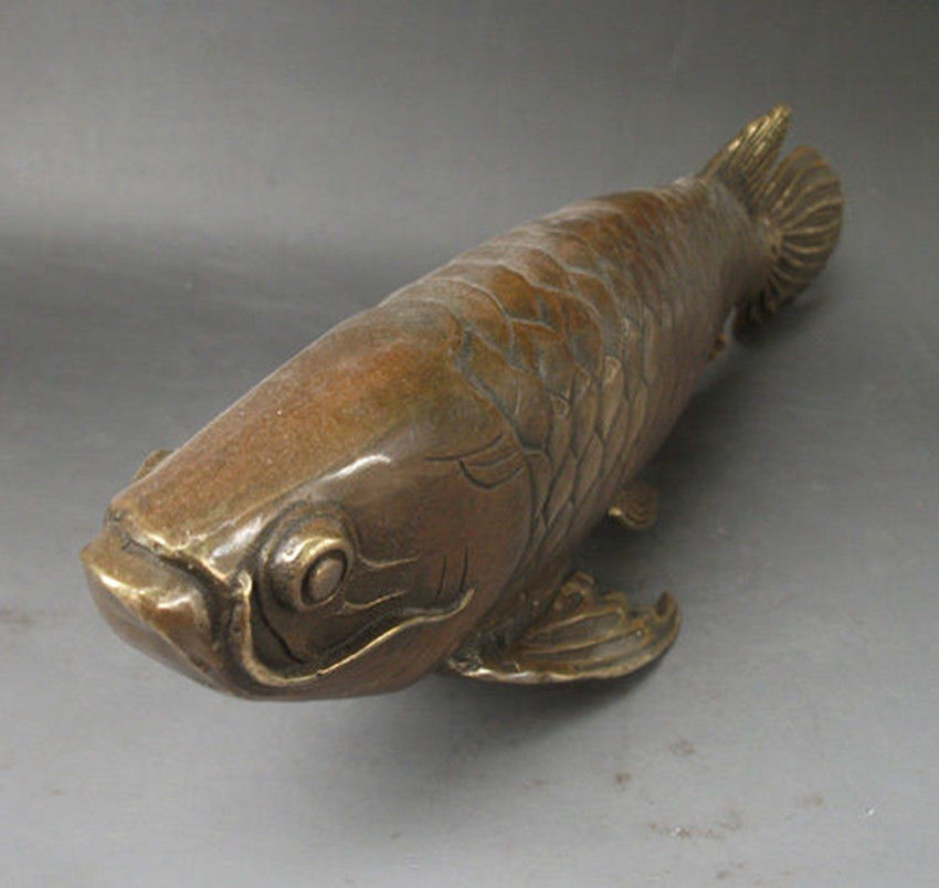 Collection Lifelike Chinese old bronze arowana statue 28x8 CM7819168