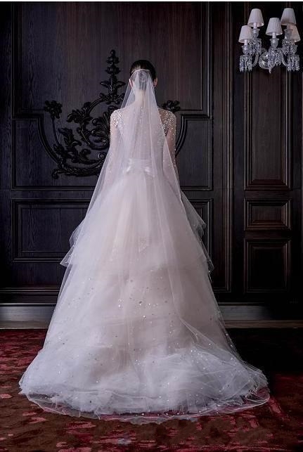 2022 Wedding Bridal Dress Sheer Neck A Line Sexy Long Sleeves Ruffles Tulle Illusion Back Pearls Beaded Monique Lhuillier Bridal Gowns