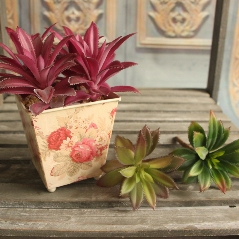 Colorful Plants Succulent Grass Artificial Plant Landscape Fake Flower Arrangement Home Decor Festive Party Supplies Wholesale