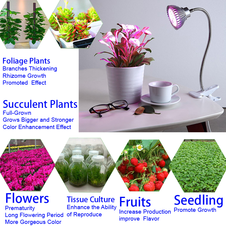 Lights Grow Full Spectrum LED bulbs 18W 30W 50W 80W LED Grow Lights indoor Hydroponic Systems Plants lamp for flowering and growing DHL