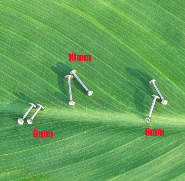 Punk Trendy Silver 16 Gauge Lip Rings Surgical Steel Labret Piercing Bar Ear Studs Diamonds Crystal Nose Ring Eyebrow Body Piercing Jewelry