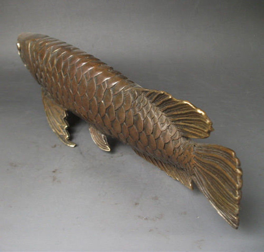 Collection Lifelike Chinese old bronze arowana statue 28x8 CM7819168
