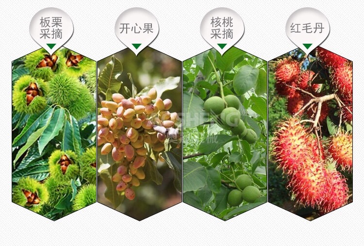 olive harvest machine olives harvester picker gasoline coffee beans harvesting picking tools nuts walnut harvester3826034