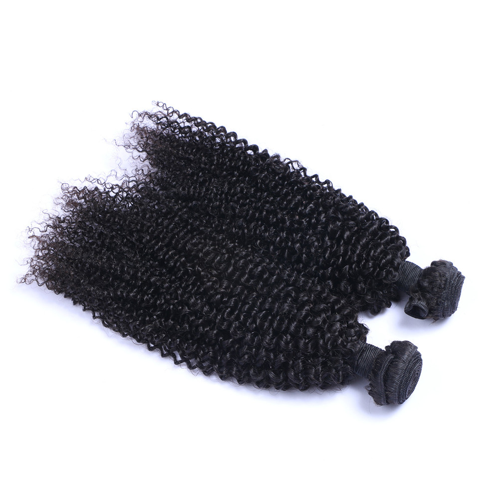 Peruvian Virgin Human Afro Kinky Curly Unprocessed Remy Hair Weaves Double Wefts 100G/Bundle 1Bundle/Lot Can Be Dyed Bleached