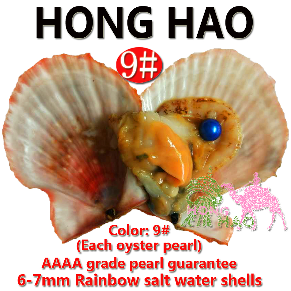 Freshwater vacuum packaging oyster hope pearl, pearl mussel shell with pearl inside, different colors of pearl mysterious surprise gift
Freshwater vacuum packaging oyster hope pearl, pearl mussel shell with pearl inside, different colors of pearl mysterious surprise gift