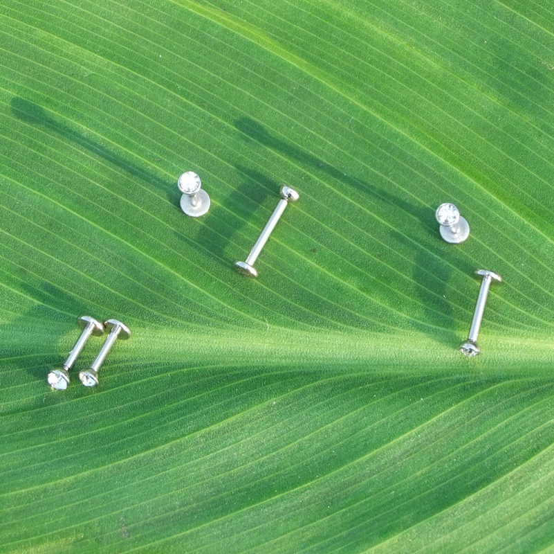 Punk Trendy Silver 16 Gauge Lip Rings Surgical Steel Labret Piercing Bar Ear Studs Diamonds Crystal Nose Ring Eyebrow Body Piercing Jewelry