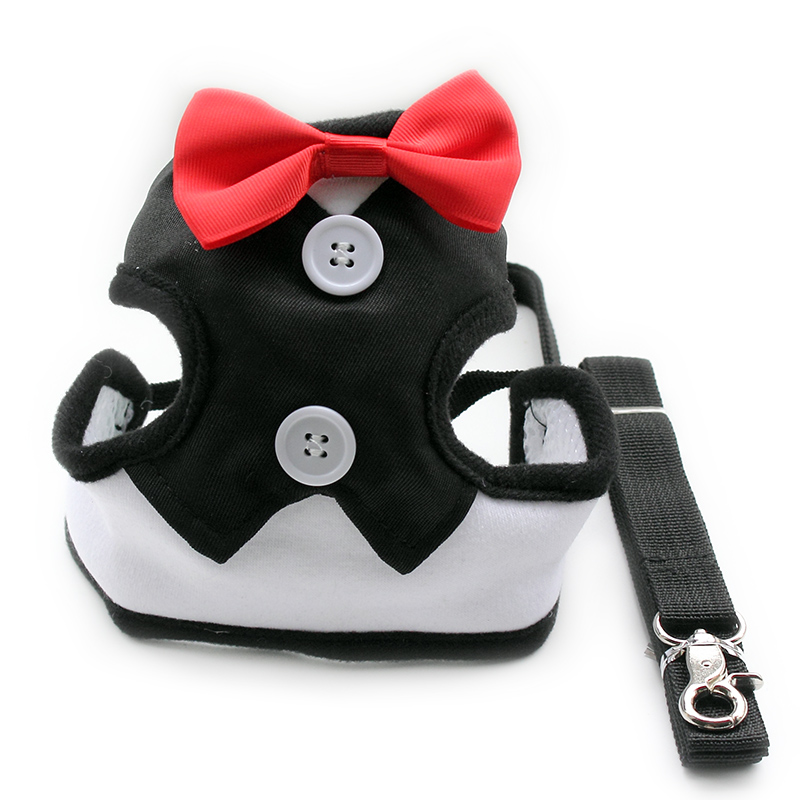 armipet Evening Dress Dog Harness Halter Harnesses For Dogs Harness Lead 6044023 Pet Leash Supplies S M L
armipet Evening Dress Dog Harness Halter Harnesses For Dogs Harness Lead 6044023 Pet Leash Supplies S M L