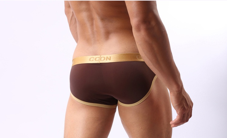 Cockcon Brand Underwear Men Transparent Sexy Male Briefs Mens Mesh Shorts Spandex Underpants Lingerie Panties Cueca Gay Brief