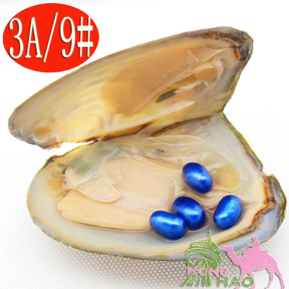 Natural freshwater pearl oysters 6-8mm4 # 9 blue same color pearls in triangular oysters in vacuum packaging
Natural freshwater pearl oysters 6-8mm4 # 9 blue same color pearls in triangular oysters in vacuum packaging