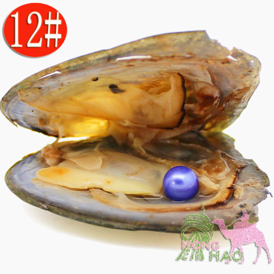 High Quality Natural Freshwater Pearl Oyster, 12# Color Pearl One In Triangle Oyster Vacuum Packaging Spot Wholesale (Free Shipping)
High Quality Natural Freshwater Pearl Oyster, 12# Color Pearl One In Triangle Oyster Vacuum Packaging Spot Wholesale (Free Shipping)