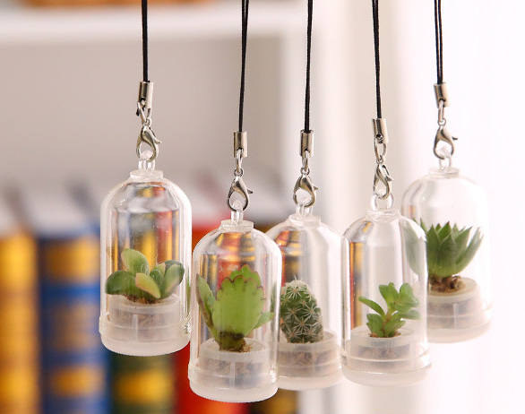 Mini Cactus Plant Mobile Phone Chain Key Ring Key Chain Car Decoration Ornaments
Mini Cactus Plant Mobile Phone Chain Key Ring Key Chain Car Decoration Ornaments