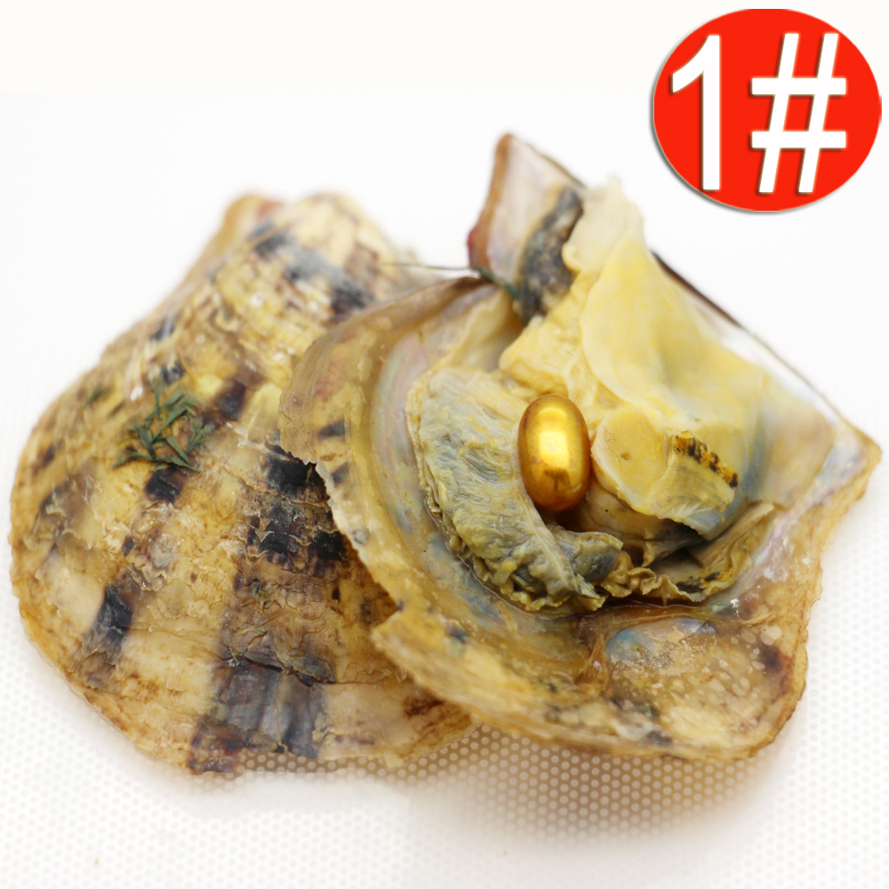 Wholesale fashion party surprise gift akoya pearl oyster 6-8mm oval color pearl 1pcs pearl in oyster