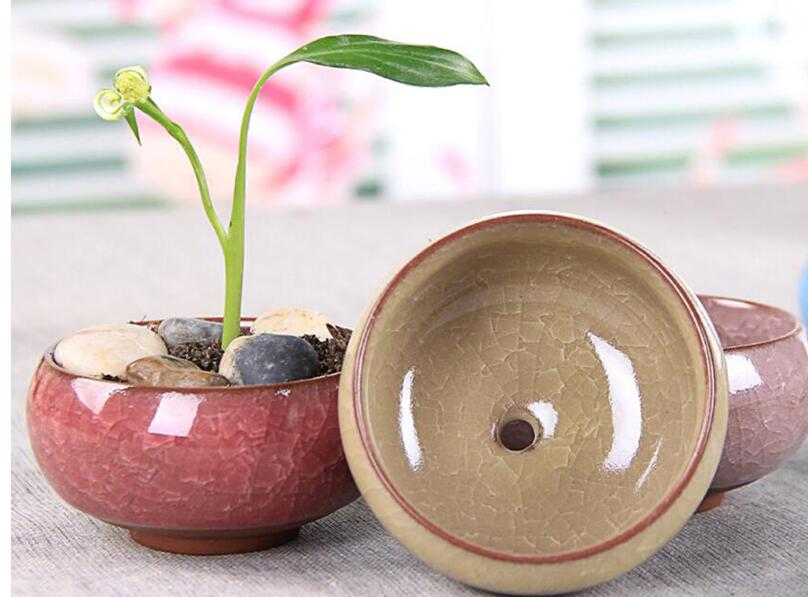 arden Planters Flower Pots Planters 50Pcs/Lot Microlandschaft Mini Succulent Plants Flowers Vase Flowerpot Terrarium Container Mini Bonsa
arden Planters Flower Pots Planters 50Pcs/Lot Microlandschaft Mini Succulent Plants Flowers Vase Flowerpot Terrarium Container Mini Bonsa