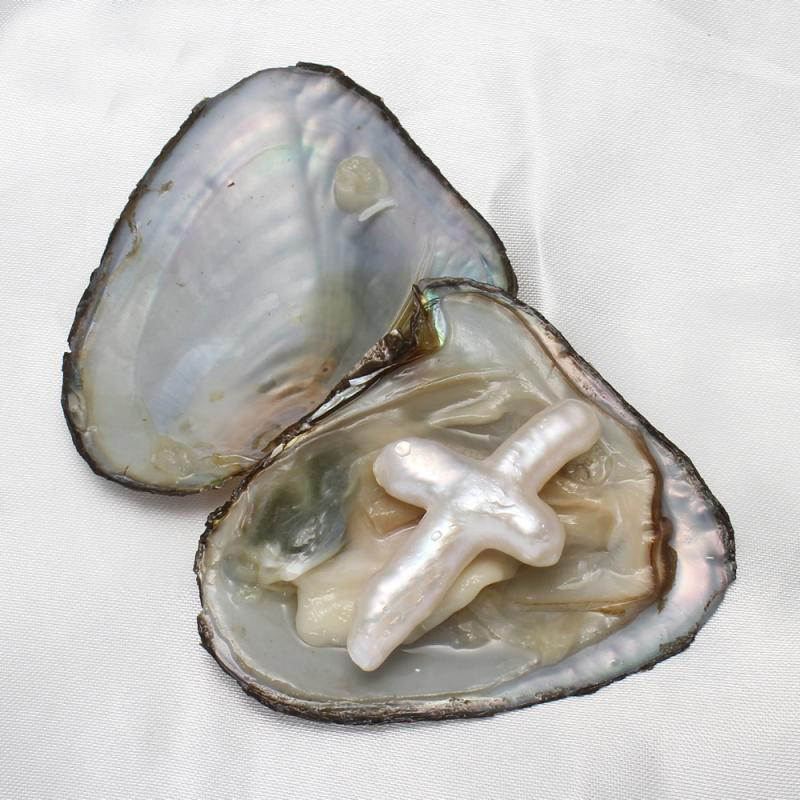 2020 New DIY Love Wish Pearl Oyster Freshwater Oyster Cross Shape Pearl Oyster Luxury Jewelry One Oysters With One Pearls In Vacuum-Packed
2020 New DIY Love Wish Pearl Oyster Freshwater Oyster Cross Shape Pearl Oyster Luxury Jewelry One Oysters With One Pearls In Vacuum-Packed