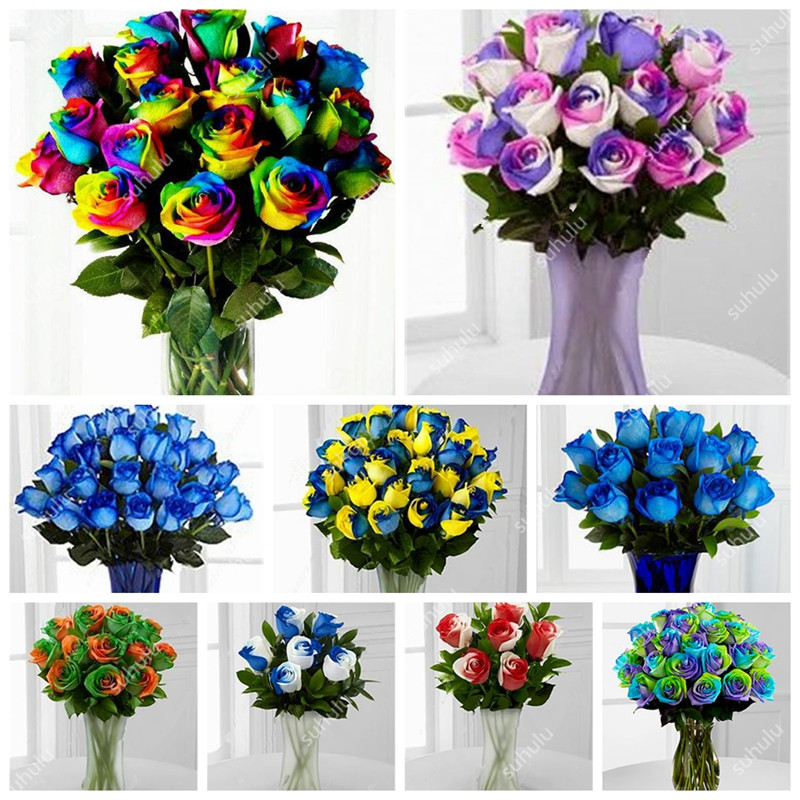 200 Pcs/Bag Rainbow Rose Flower Seeds Mixed With White Edge,Two-Color Bonsai Flower Seeds For Home & Garden Plant Outdoor Garden Flowe
200 Pcs/Bag Rainbow Rose Flower Seeds Mixed With White Edge,Two-Color Bonsai Flower Seeds For Home & Garden Plant Outdoor Garden Flowe