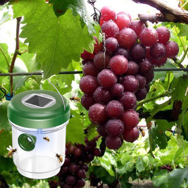 Wasp Trap Catcher , Outdoor Solar Powered Fly Trap with Ultraviolet LED Light Waterproof for Bees, Yellow Jackets, Hornets,Backyard, Garden,
Wasp Trap Catcher , Outdoor Solar Powered Fly Trap with Ultraviolet LED Light Waterproof for Bees, Yellow Jackets, Hornets,Backyard, Garden,