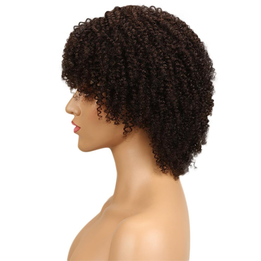 Afro Kinky Curly Hair Short Human Hair Capless Wigs 2#Color Virgin Hair Bob Short Wigs For Black Women