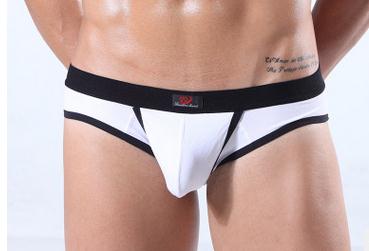 Sexy Men Underwears Brand Mens Briefs Cotton Brief Gay Penis Pouch Wonderjock Penis and Scrotum Separate Design Men's Underwear