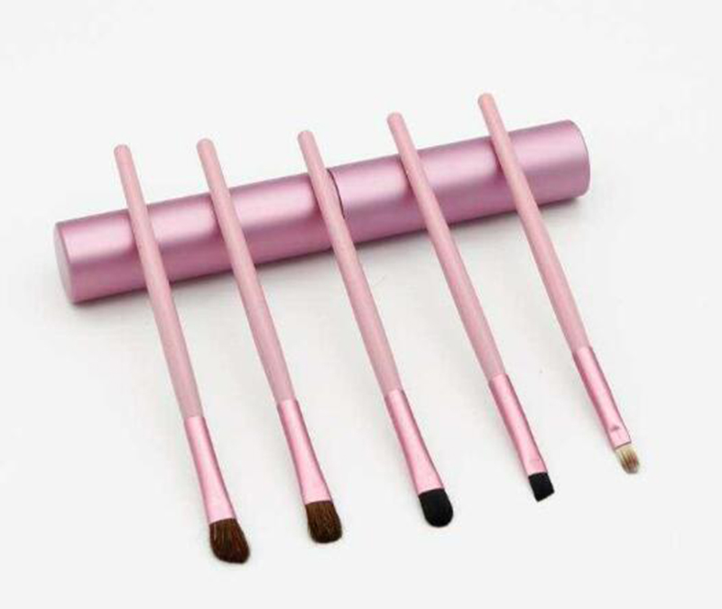 Hot 5pcs Travel Portable Mini Eye Makeup Brushes Set for Eyeshadow Eyeliner Eyebrow Lip brues Make Up Brushes kit Professional tools