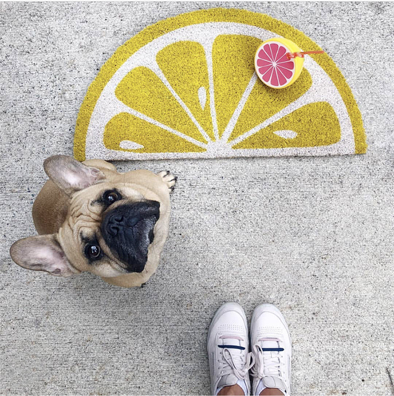 Wholesale 1 PCS New Cute Yellow Lemon Arch Non-slip Polyester Door Mat Floor Carpet Home Decor
Wholesale 1 PCS New Cute Yellow Lemon Arch Non-slip Polyester Door Mat Floor Carpet Home Decor