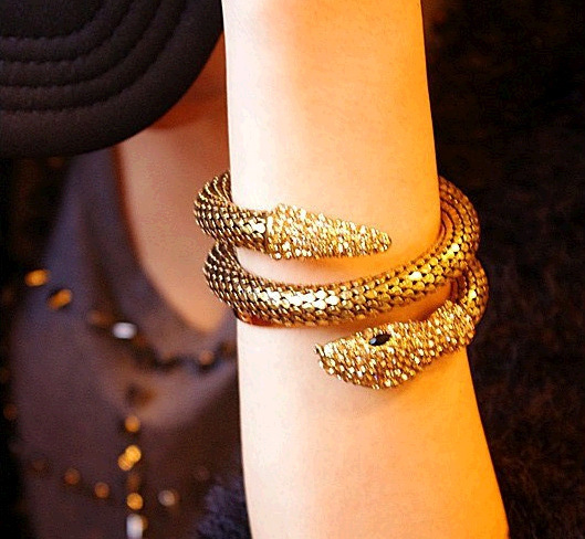 Aantique Bronze/Gold City of Bones Isabelle Serpent Snake Bracelet Curved Chunky Stretch Cuff Bangle For Women Fashion Jewelry snap jewelry 
Aantique Bronze/Gold City of Bones Isabelle Serpent Snake Bracelet Curved Chunky Stretch Cuff Bangle For Women Fashion Jewelry snap jewelry