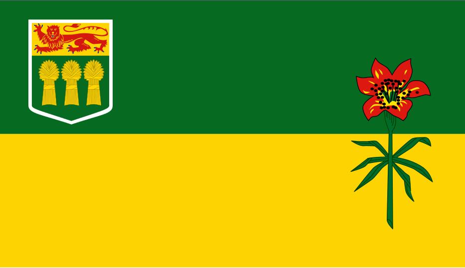 Canada Flag of Saskatchewan 3ft x 5ft Polyester Banner Flying 150* 90cm Custom flag outdoor
Canada Flag of Saskatchewan 3ft x 5ft Polyester Banner Flying 150* 90cm Custom flag outdoor