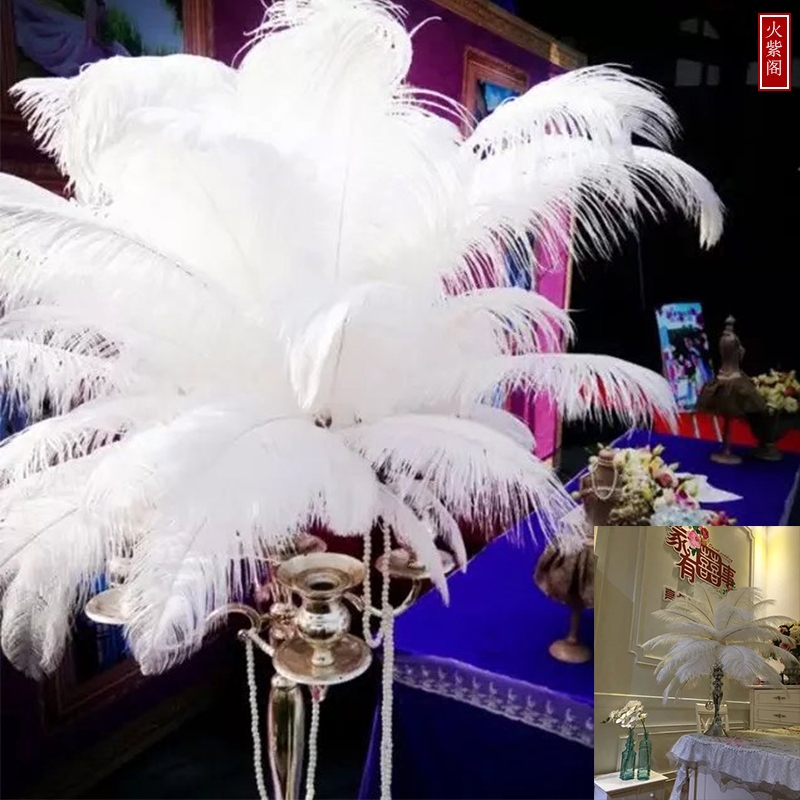 Wholesale 6-24inch White black red pink blue yellow green purple rose Ostrich Feather Plumes for Wedding centerpiece table centerpiece
Wholesale 6-24inch White black red pink blue yellow green purple rose Ostrich Feather Plumes for Wedding centerpiece table centerpiece