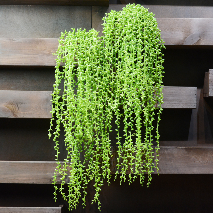 5fork 78cm Artificial fleshiness Lover Tears Succulents Pearls Fleshy Vine Flower Hanging Rattan Wall Garden Decor Plants Flower, Green
5fork 78cm Artificial fleshiness Lover Tears Succulents Pearls Fleshy Vine Flower Hanging Rattan Wall Garden Decor Plants Flower, Green