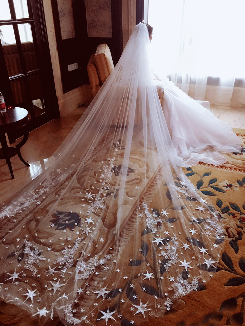 Best Selling White One Layer Long Cathedral Wedding Veils 3M Stars Lace Appliqued Soft Tulle Bridal Veil Accessories With Comb