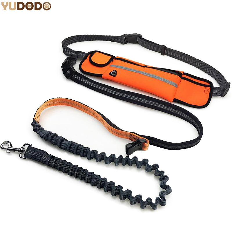 Hand Free Elastic Dog Leash Adjustable Padded Waist Reflective Running Jogging Walking Pet Lead Belt With Pouch Bags
Hand Free Elastic Dog Leash Adjustable Padded Waist Reflective Running Jogging Walking Pet Lead Belt With Pouch Bags