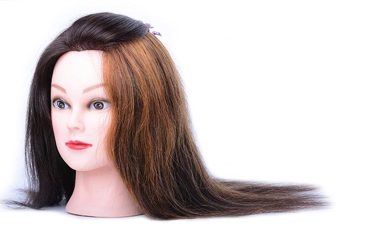 New arrived 16inch 100% Natural human Hair Mannequin Head Hairdressing Hair for Hairdresser ,hair mannequins with wig
New arrived 16inch 100% Natural human Hair Mannequin Head Hairdressing Hair for Hairdresser ,hair mannequins with wig