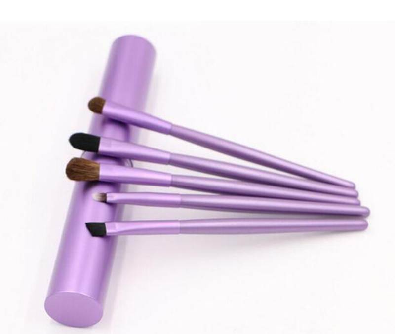 Hot 5pcs Travel Portable Mini Eye Makeup Brushes Set for Eyeshadow Eyeliner Eyebrow Lip brues Make Up Brushes kit Professional tools