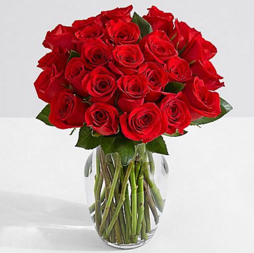 Rare rainbow rose seeds 1000pcs Fresh Plant Flower Seed for Bonsai Plants Home and Garden
Rare rainbow rose seeds 1000pcs Fresh Plant Flower Seed for Bonsai Plants Home and Garden