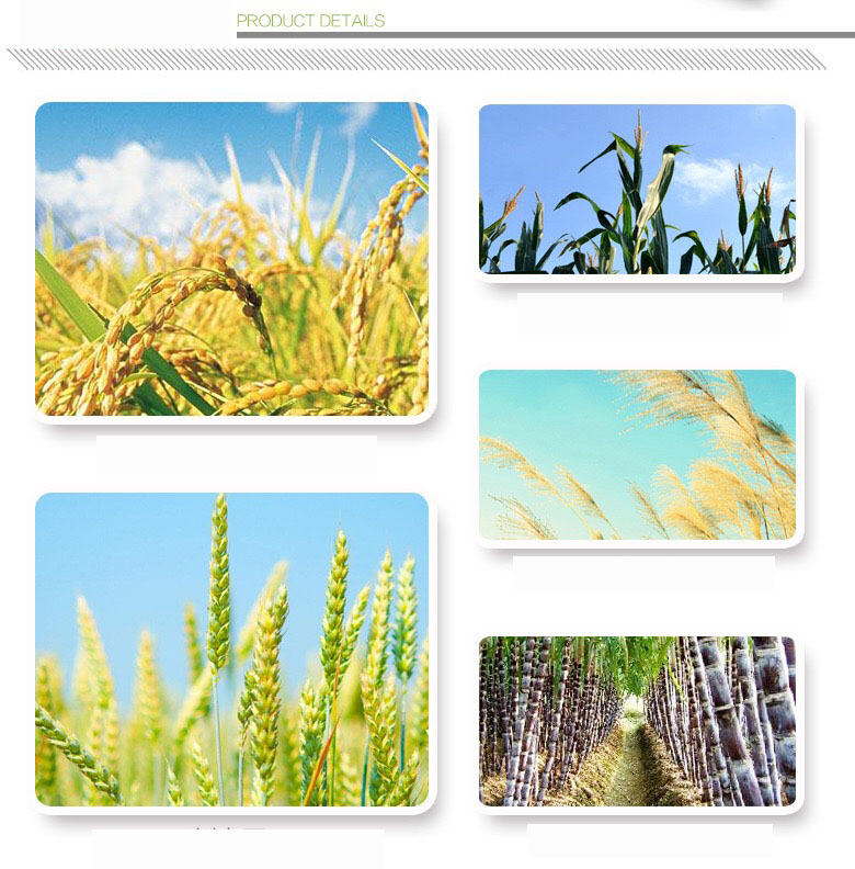 2stroke forage harvester mower mini rice harvester wheat cutting machines wheat cutter mini harvester brush cutter276C2002028