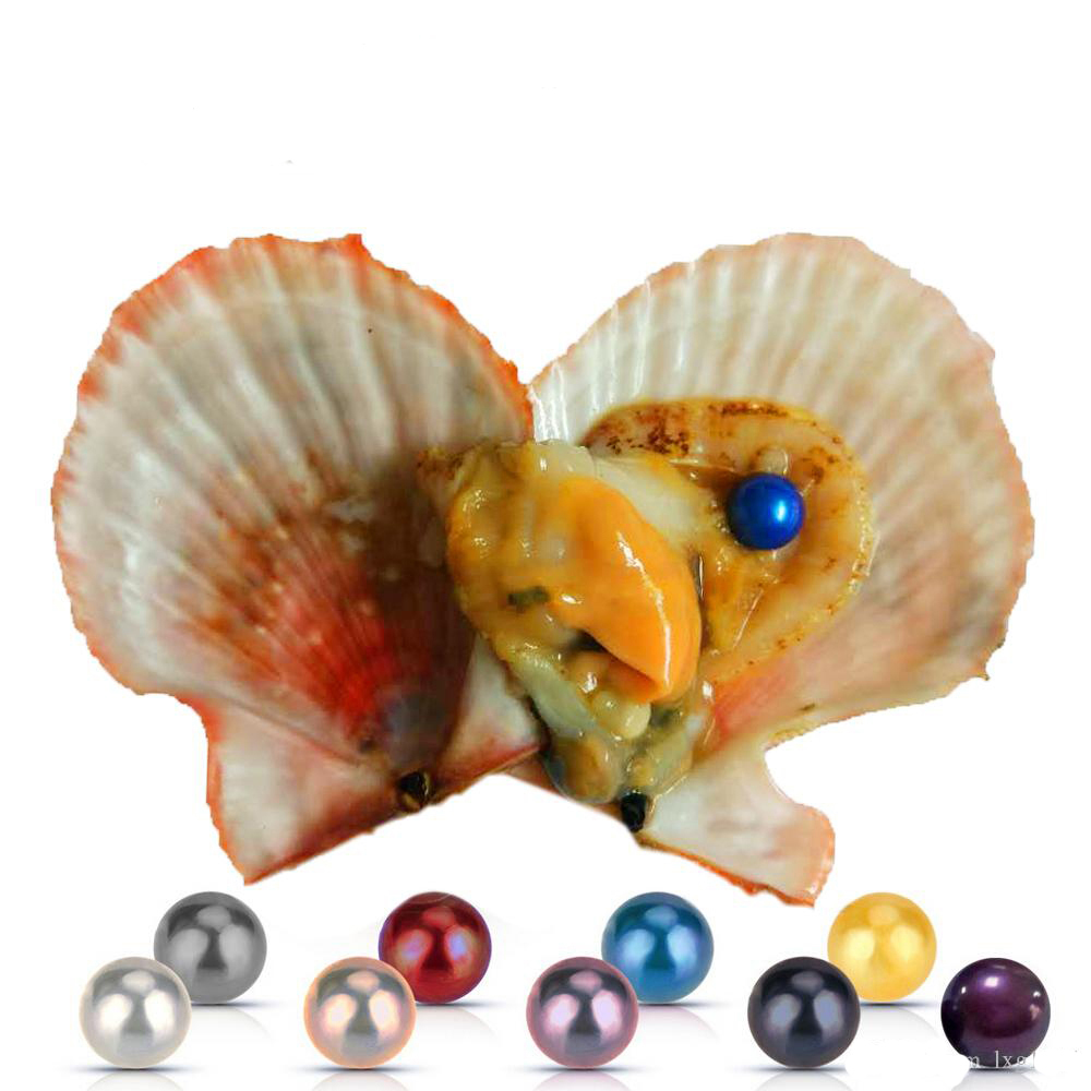 free shipping!2018 wholesale 25 colors round South Sea pearls oysters 6-7mm/individually wrapped, great party gift red shell mussel
free shipping!2018 wholesale 25 colors round South Sea pearls oysters 6-7mm/individually wrapped, great party gift red shell mussel