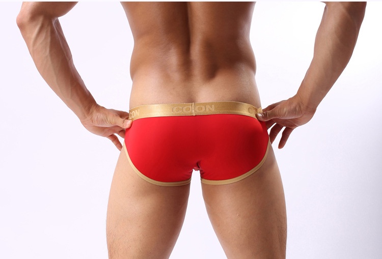 Cockcon Brand Underwear Men Transparent Sexy Male Briefs Mens Mesh Shorts Spandex Underpants Lingerie Panties Cueca Gay Brief