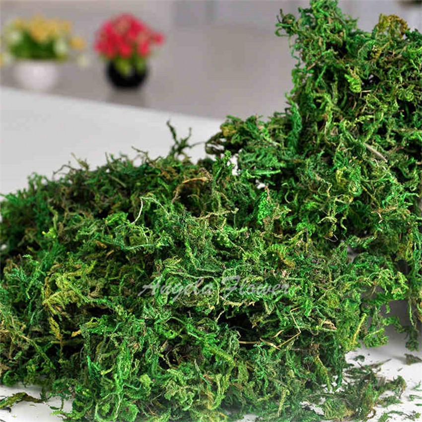 300g/bag Keep dry real green moss decorative plants vase artificial turf silk Flower accessories for flowerpot decoration
300g/bag Keep dry real green moss decorative plants vase artificial turf silk Flower accessories for flowerpot decoration