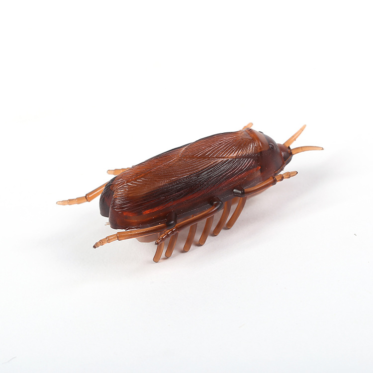 Dog Cat Toy interactive electronic Cockroach Cat intelligence training Toy Fun Cat Toy interactive training pet products
Dog Cat Toy interactive electronic Cockroach Cat intelligence training Toy Fun Cat Toy interactive training pet products