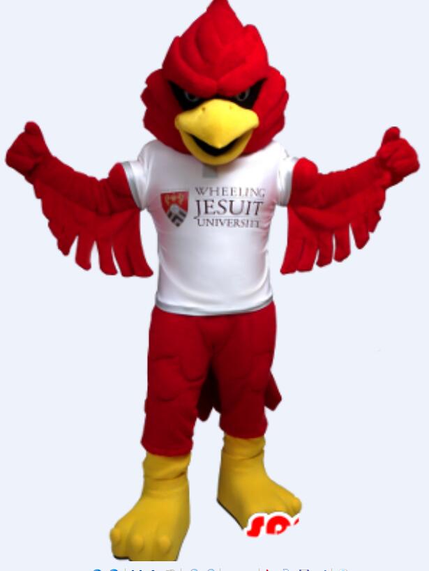 Custom Red bird mascot costume Adult Size free shipping