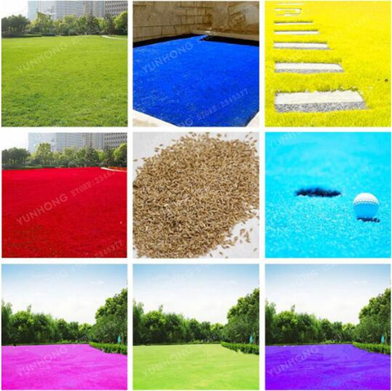 Hot Sale !!! 300 Pcs Rare Blue Grass Seed, Lawn Seed, Perennial Flowers Garden,Outdoor Plant Seed Germination Rate of 100%
Hot Sale !!! 300 Pcs Rare Blue Grass Seed, Lawn Seed, Perennial Flowers Garden,Outdoor Plant Seed Germination Rate of 100%