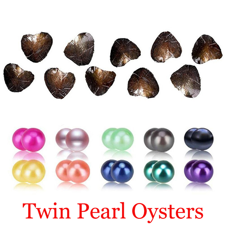Akoya Twins Pearl Oyster 2018 Round 6-8mm 20 mix Colors Freshwater natural Cultured in Fresh Oyster Pearl Mussel Farm Supply wholesale
Akoya Twins Pearl Oyster 2018 Round 6-8mm 20 mix Colors Freshwater natural Cultured in Fresh Oyster Pearl Mussel Farm Supply wholesale