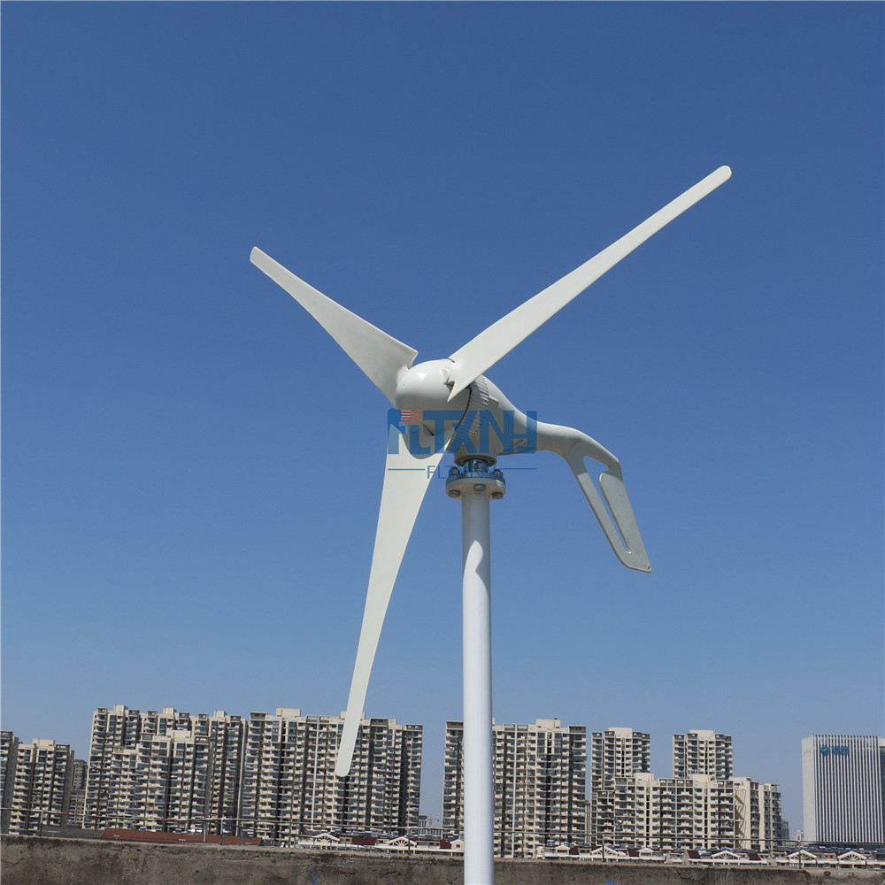 Hot selling 300w wind turbine 12v/24v for home use streetlight and yacht electricity supply urgent power station
Hot selling 300w wind turbine 12v/24v for home use streetlight and yacht electricity supply urgent power station