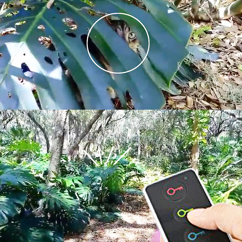 Smart GPS Tracker with LED Flashlight Functionality - Compact Wireless RF Locator Kit Including Four Receivers