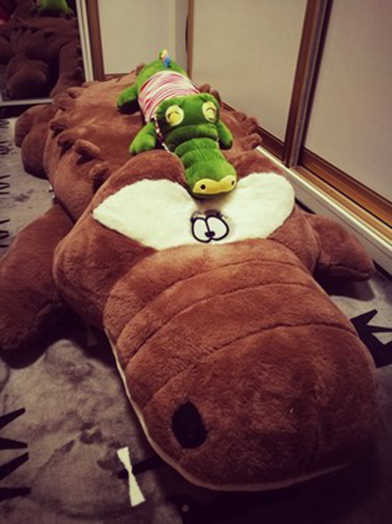 Dorimytrader Biggest Soft Lying Animal Crocodile Plush Toy Anime Alligator Toy Animals Pillow Lover Gift Accompany Gifts 300cm DY50195